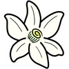 快速视频播放器 
